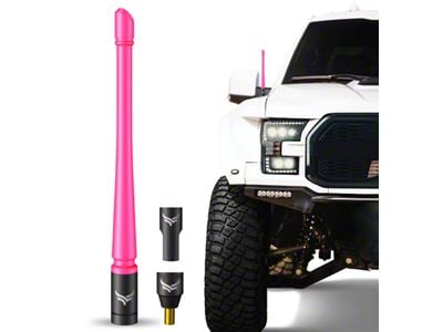 EcoAuto Flexible Replacement Antenna; 8-Inch; Pink (97-24 F-150)