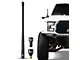 EcoAuto Flexible Replacement Antenna; 12-Inch; Black (11-24 F-350 Super Duty)