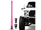 EcoAuto Flexible Replacement Antenna; 12-Inch; Pink (11-24 F-350 Super Duty)
