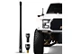 EcoAuto Flexible Replacement Antenna; 12-Inch; Black (99-24 Silverado 1500)