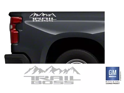Emblems Plus Mountain Trail Boss Bedside Decals; Stacked Logo; Silver (19-25 Silverado 1500 Trail Boss)