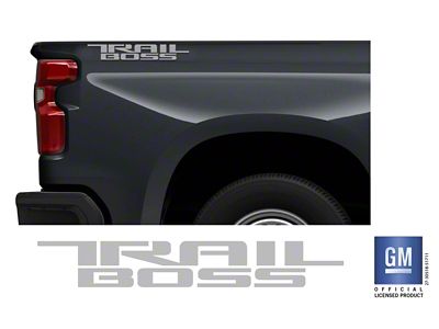 Emblems Plus Trail Boss Bedside Decals; Silver (19-25 Silverado 1500 Trail Boss)