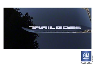 Emblems Plus Trail Boss Hood Scoop Lettering Decals; Silver (19-25 Silverado 1500 Trail Boss)