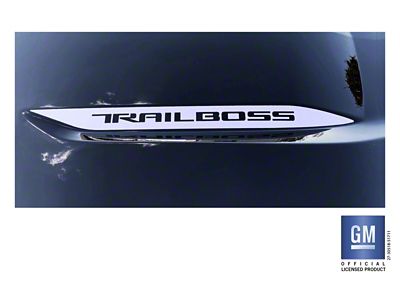 Emblems Plus TRAIL BOSS Hood Spear Decals; Silver (19-25 Silverado 1500 Trail Boss)