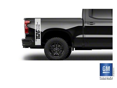 Emblems Plus TRAIL BOSS Vertical Rear Bedside Decals; Silver (20-25 Silverado 3500 HD)