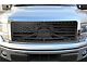 1-Piece Steel Upper Grille Insert; Liberty Or Death (09-12 F-150 King Ranch, Lariat)