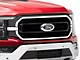 4-Piece Grille Accent Trim; Stainless Steel (21-23 F-150, Excluding Raptor)