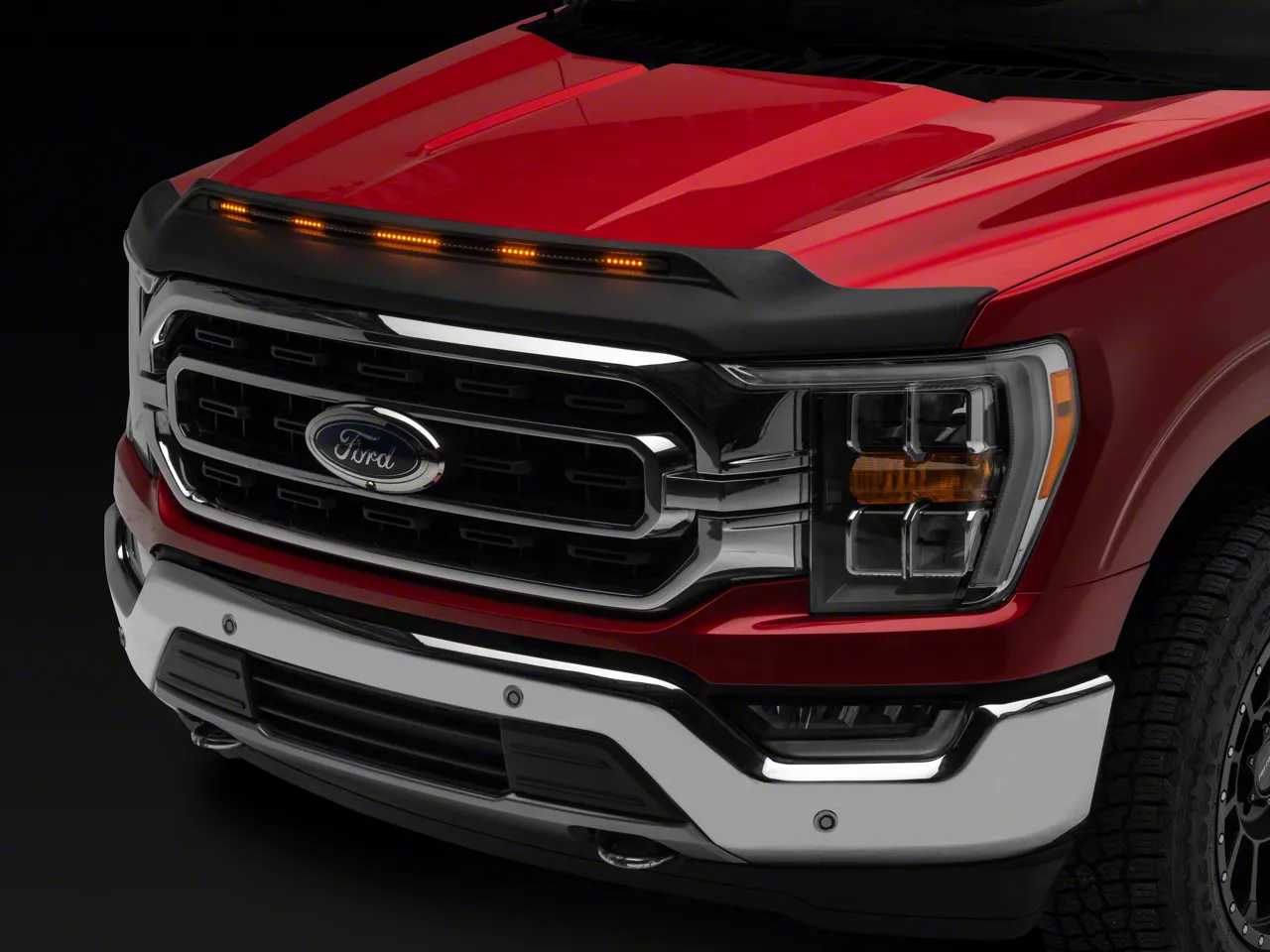 Xipoo Hood Protector Compatible with 2009-2014 Ford F150