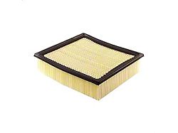 Air Filter (09-25 F-150)