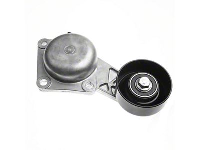 Belt Tensioner with Pulley (02-10 4.6L, 5.4L F-150 w/ A/C)