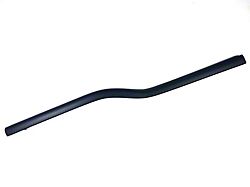 Outer Front Door Belt Weatherstrip; Passenger Side (04-08 F-150 Regular Cab, SuperCrew)