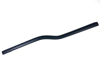 Outer Front Door Belt Weatherstrip; Passenger Side (04-08 F-150 Regular Cab, SuperCrew)