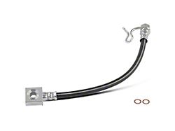 Brake Hydraulic Hose; Rear Outer Passenger Side (09-11 F-150, Excluding Raptor)