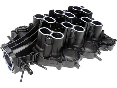 Center Plastic Intake Manifold (02-04 4.2L F-150)