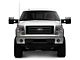 Halo Projector Fog Lights with Switch; Clear (06-10 F-150, Excluding Raptor)