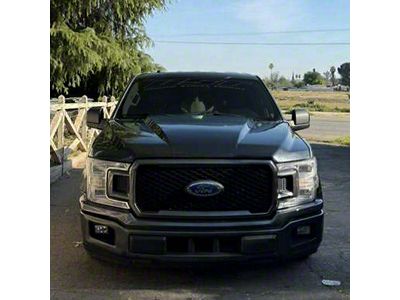 Cowl Hood; Unpainted (15-20 F-150, Excluding Raptor)