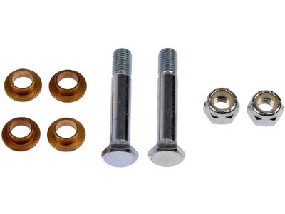 Door Hinge Pin and Bushing Kit (04-11 F-150)