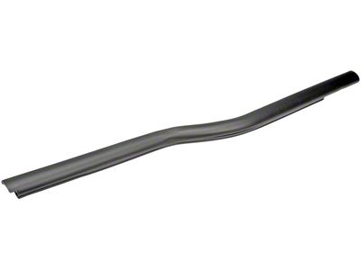 Door Window Seal; Front Right Outer (04-08 F-150 Regular Cab, SuperCrew)