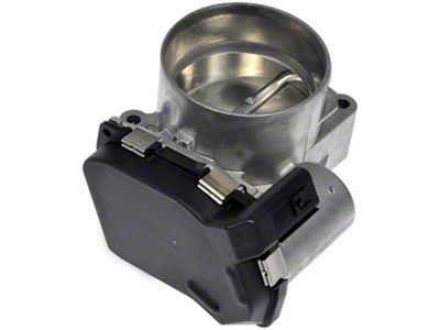 Electronic Throttle Body (09-10 4.6L F-150)