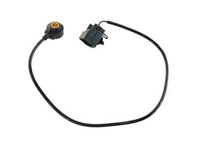 Engine Knock Sensor (99-03 5.4L F-150; 99-10 4.6L 2V F-150)