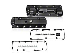 Engine Valve Cover; Driver and Passenger Side (06-10 4.6L F-150)