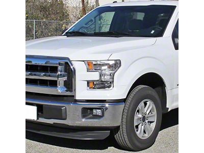 Euro Crystal Headlights; Chrome Housing; Clear Lens (15-17 F-150 w/ Factory Halogen Headlights)