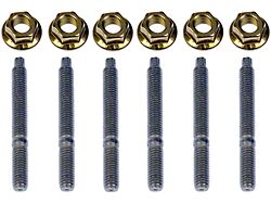 Exhaust Manifold Hardware Kit (99-08 4.2L F-150)