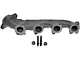 Exhaust Manifold Kit; Passenger Side (04-06 4.6L F-150)