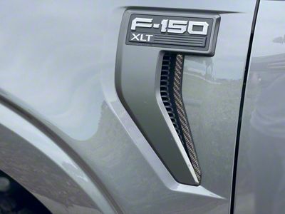 Fender Vent Strip Accent Trim; Domed Carbon Fiber (21-25 F-150, Excluding Raptor)