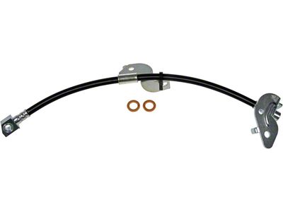 Front Brake Hydraulic Hose; Driver Side (10-11 F-150, Excluding Raptor)