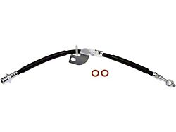 Front Brake Hydraulic Hose; Driver Side (15-20 F-150, Excluding Raptor)