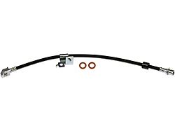 Front Brake Hydraulic Hose; Passenger Side (10-11 F-150 Raptor)