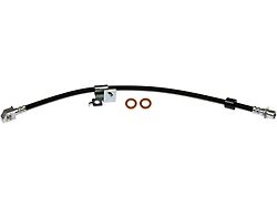 Front Brake Hydraulic Hose; Passenger Side (10-11 F-150 Raptor)