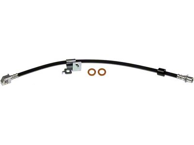 Front Brake Hydraulic Hose; Passenger Side (10-11 F-150 Raptor)