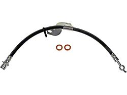 Front Brake Hydraulic Hose; Passenger Side (12-14 F-150, Excluding Raptor)