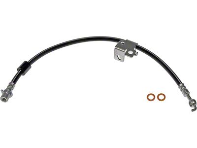 Front Brake Hydraulic Hose; Passenger Side (12-14 F-150 Raptor)