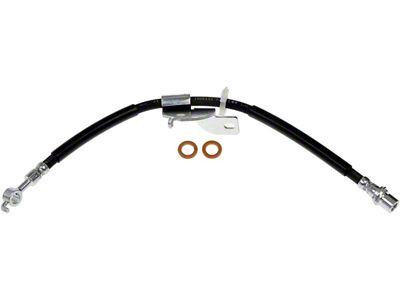 Front Brake Hydraulic Hose; Passenger Side (15-20 F-150, Excluding Raptor)