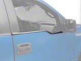Front Door Outer Belt Weatherstrip; Driver and Passenger Side (09-14 F-150)