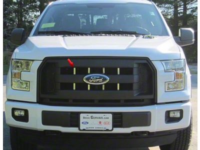 Front Grille Accent Trim; Stainless Steel (15-17 F-150 XL)