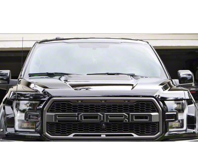 Front Grille Letter Overlays; Domed Carbon Fiber with Dark Gray Outline (17-20 F-150 Raptor)