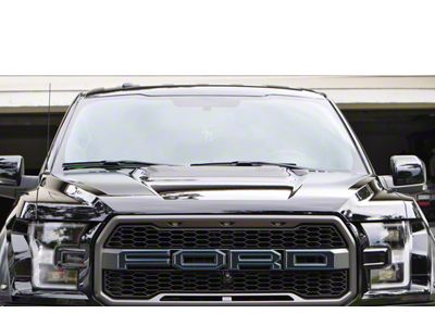 Front Grille Letter Overlays; Domed Carbon Fiber with Performance Blue Outline (17-20 F-150 Raptor)