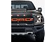 Front Grille Letter Overlays; White Reflective (17-20 F-150 Raptor)