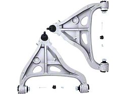 Front Lower Control Arms with Ball Joints (04-08 F-150 w/o 8200 lb. GVW)