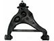 Front Lower Suspension Control Arm; Passenger Side (15-20 F-150)