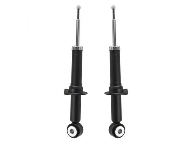 Front Shocks (04-08 2WD F-150)