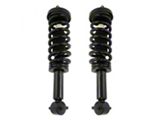 Front Strut and Spring Assemblies (2014 4WD F-150)
