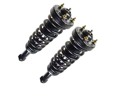 Front Strut and Spring Assemblies (09-13 4WD F-150)