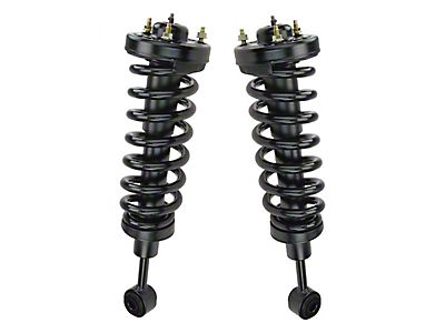 Bilstein Struts And Shocks Complete Assembly