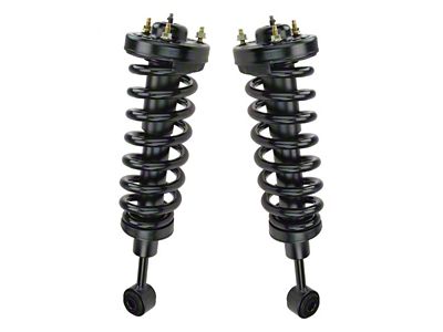 Front Strut and Spring Assemblies (04-08 4WD F-150)