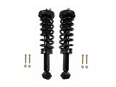 Front Strut and Spring Assemblies (15-17 4WD F-150)